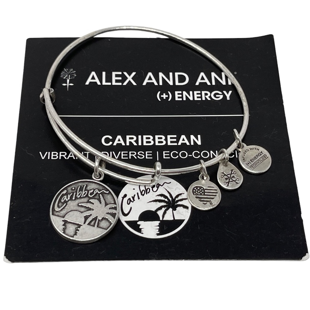 Alex & Ani Caribbean Silver Charm Bangle Bracelet